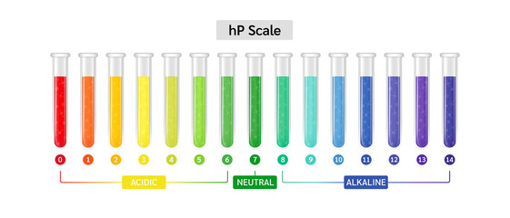 What is a Buffer Solution?